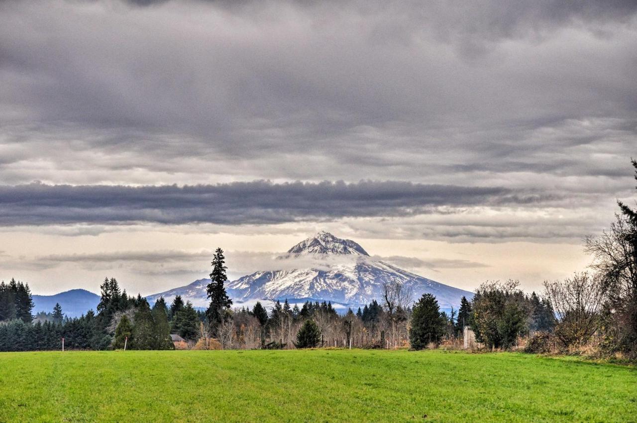 Cute And Cozy Pdx Area Townhouse 31 Mi To Mt Hood! Villa Boring Ngoại thất bức ảnh